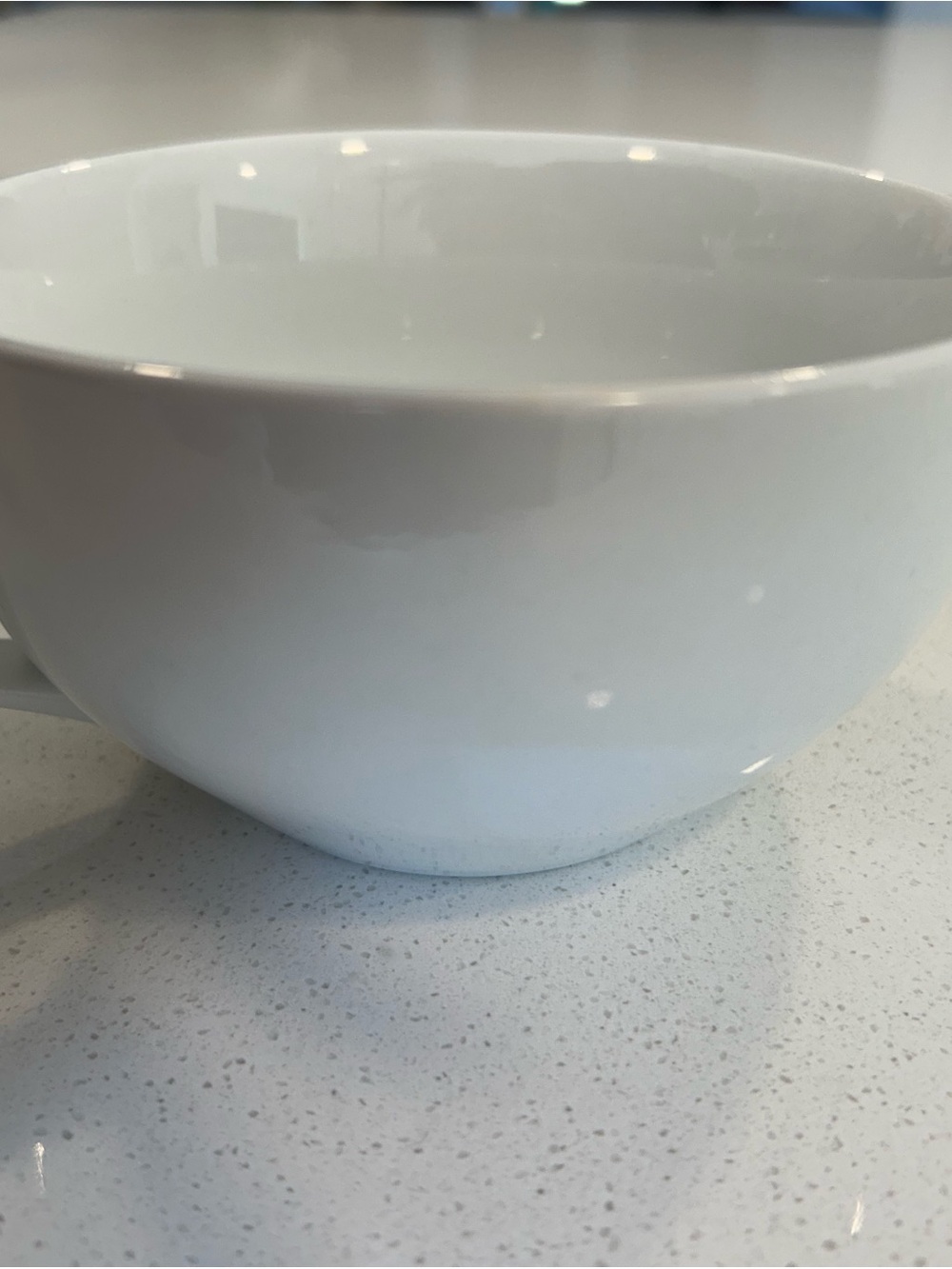 Pottery Barn Great White Large latte mug